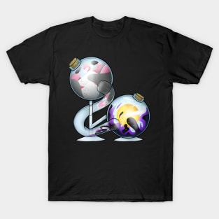 Demigirl And Non-Binary Pride Potion T-Shirt